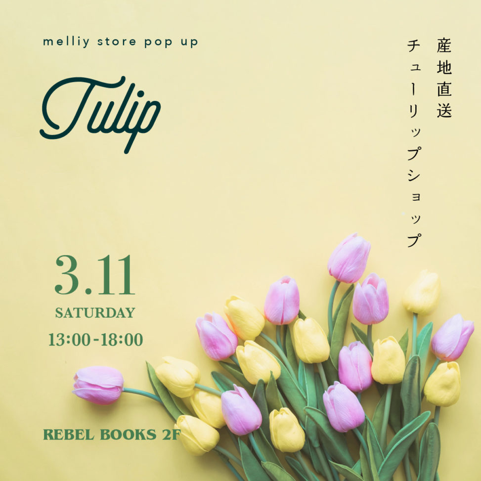 tulip20230311