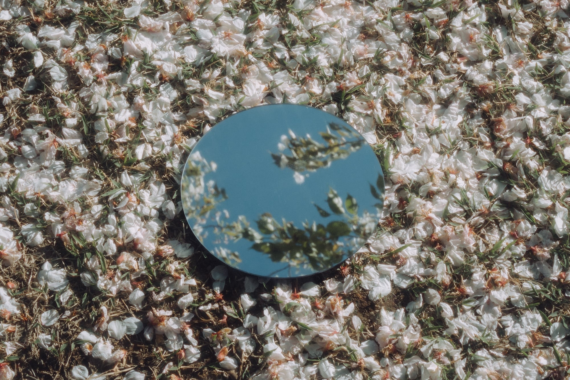 b17763eb-e89d-4c2d-a5b1-287c59886934